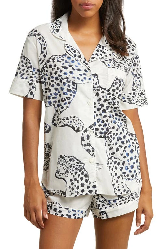 Desmond & Dempsey Print Cotton Short Pajamas Jag at Nordstrom,