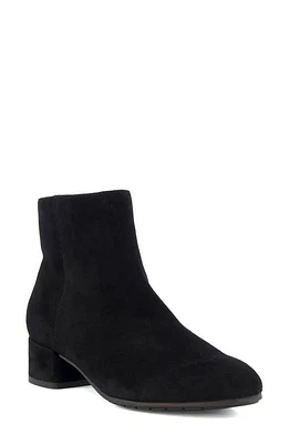 Dune London Pippie Bootie Black at Nordstrom,