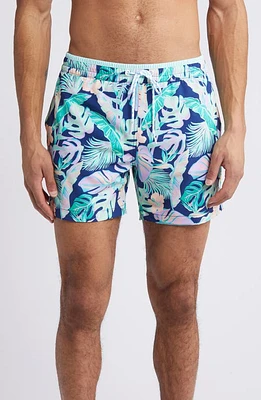 Chubbies Classic Lined 5.5-Inch Swim Trunks The Night Faunas at Nordstrom,