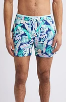 Chubbies Classic Lined 5.5-Inch Swim Trunks The Night Faunas at Nordstrom,