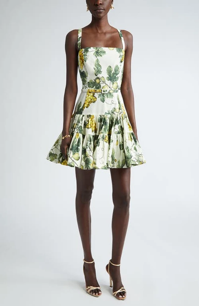 Oscar de la Renta Fig Print Belted Mini Sundress Ecru/Green at Nordstrom,