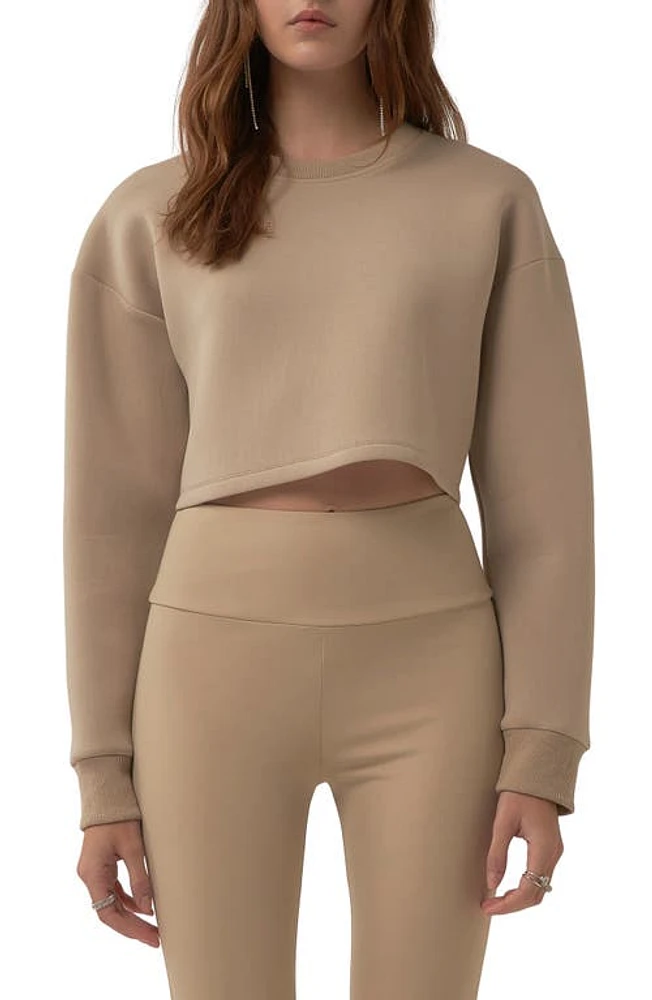 Grey Lab Lounge Wear Crop Crewneck Sweatshirt in Taupe at Nordstrom, Size Medium