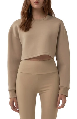 Grey Lab Lounge Wear Crop Crewneck Sweatshirt in Taupe at Nordstrom, Size Medium