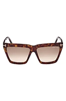 TOM FORD Eden 56mm Gradient Geometric Sunglasses in Dark Havana /Brown Orange at Nordstrom