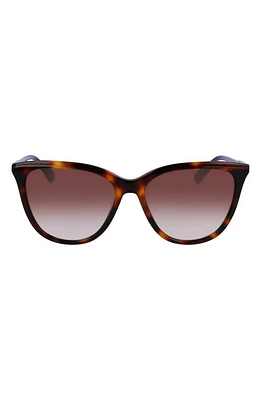 Longchamp Le Pliage 56mm Gradient Tea Cup Sunglasses in Havana at Nordstrom