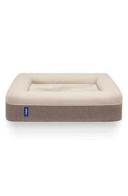 Casper Dog Bed in Sand at Nordstrom