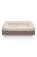 Casper Dog Bed in Sand at Nordstrom