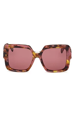 Max Mara Ernest 56mm Square Sunglasses in Coloured Havana /Bordeaux at Nordstrom