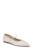 Sam Edelman Bri Mary Jane Pointed Toe Flat at Nordstrom,