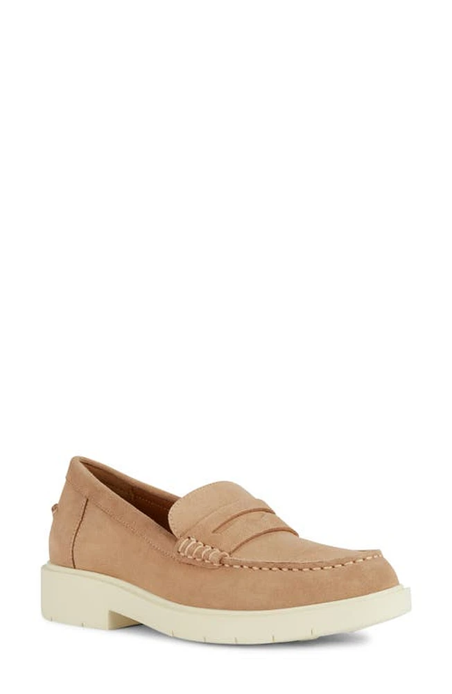 Geox Spherica Penny Loafer at Nordstrom,