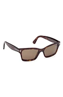 TOM FORD Mikel 54mm Polarized Square Sunglasses in Shiny Dark Havana /Brown at Nordstrom