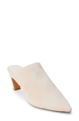 Matisse Frances Mule at Nordstrom,