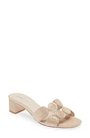 Lively Sandal at Nordstrom,