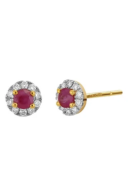 Bony Levy Ruby & Diamond Stud Earrings in 18K Yellow Gold at Nordstrom