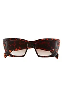 BP. 51mm Square Sunglasses in Tortoise at Nordstrom