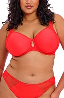 Elomi Charley Full Figure Spacer Underwire Bra at Nordstrom,