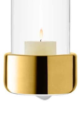 LSA Aurum Lantern/Vase in Clear/Gold at Nordstrom