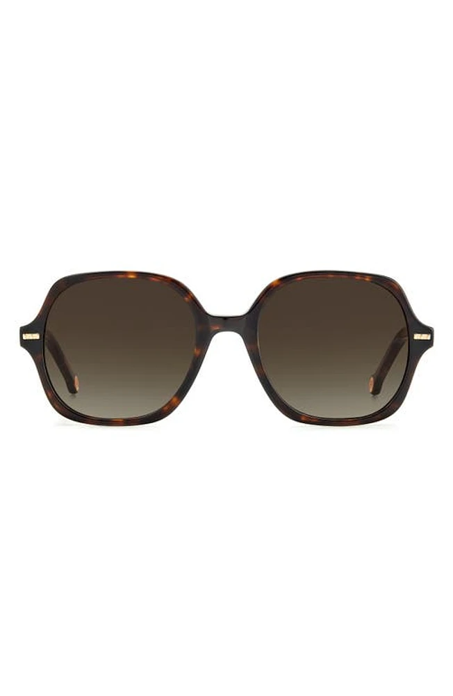 Carolina Herrera 55mm Square Sunglasses in Havana / at Nordstrom