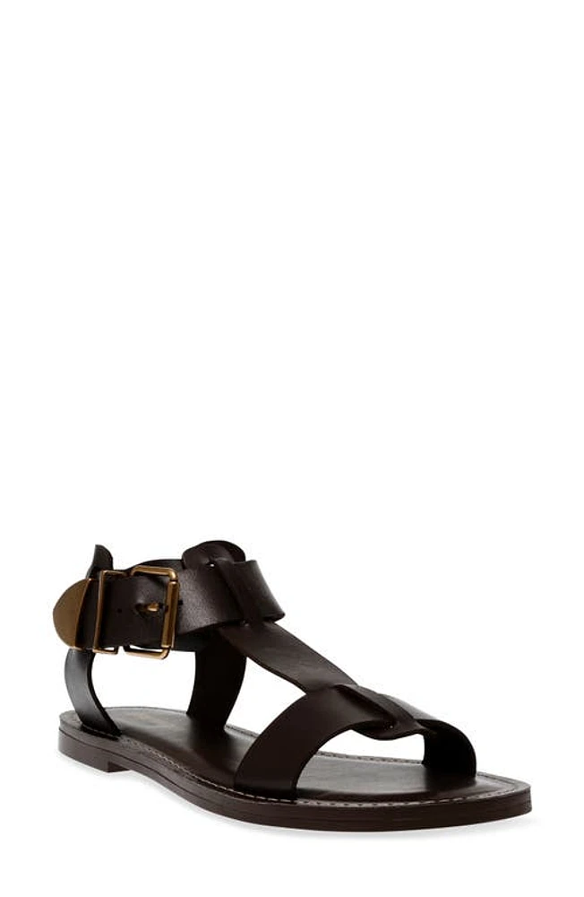 Steve Madden Brazinn Gladiator Sandal Leather at Nordstrom,