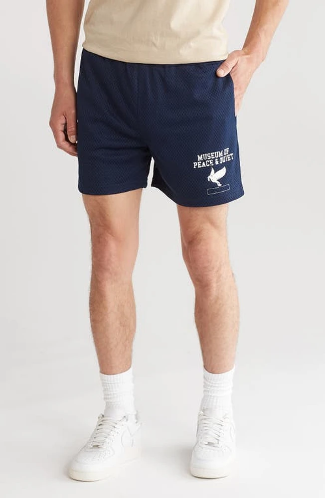 Museum of Peace & Quiet P. E. Mesh Shorts at Nordstrom,