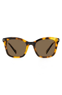 Polaroid 51mm Polarized Rectangular Sunglasses in Havana /Copper Polar at Nordstrom