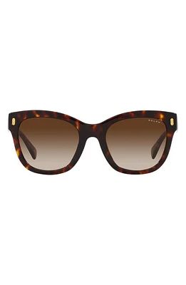 RALPH 52mm Gradient Oval Sunglasses in Shiny Hava at Nordstrom