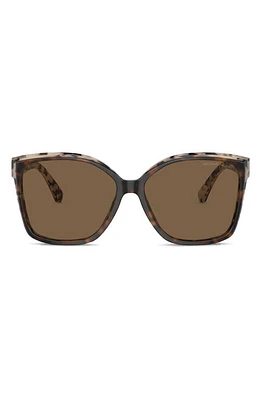 Michael Kors Malia 58mm Square Sunglasses in Brown at Nordstrom