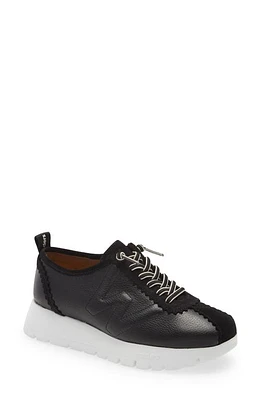 Wonders Sport Sneaker in Black at Nordstrom, Size 5Us