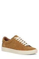 Frye Astor Sneaker Golden Rod at Nordstrom,