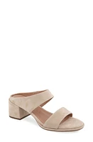 Aerosoles Nika Slide Sandal at Nordstrom,