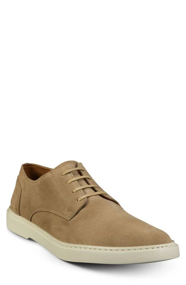 Allen Edmonds Henderson Oxford Bone Suede at Nordstrom,