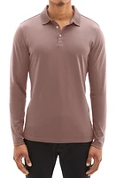 Robert Barakett Georgia Long Sleeve Polo at Nordstrom,