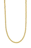 Bony Levy Katharine 14K Gold Paperclip Chain Necklace in 14K Yellow Gold at Nordstrom, Size 18