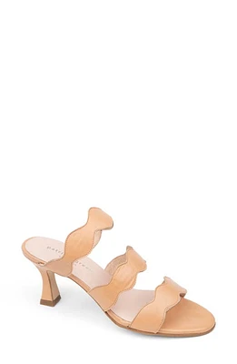 patricia green Sophia Slide Sandal Beige at Nordstrom,