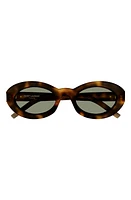 Saint Laurent 52mm Round Sunglasses in Havana at Nordstrom