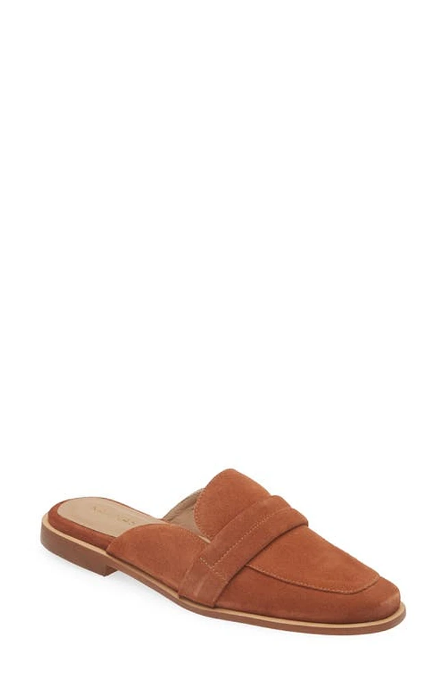 Kaanas Congo Mule in Cinnamon at Nordstrom, Size 6