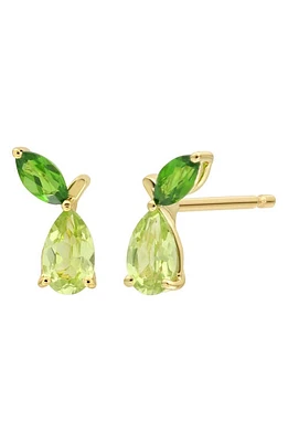 Bony Levy Peridot & Diopside Stone 14K Gold Stud Earrings in 14K Yellow Gold at Nordstrom