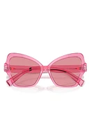 Dolce & Gabbana 56mm Butterfly Sunglasses in Trans Pink at Nordstrom