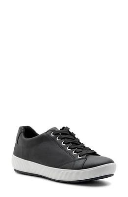 ara Alexandria Sneaker Black at Nordstrom,