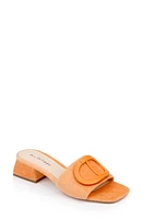 Dee Ocleppo Dizzy Slide Sandal at Nordstrom,