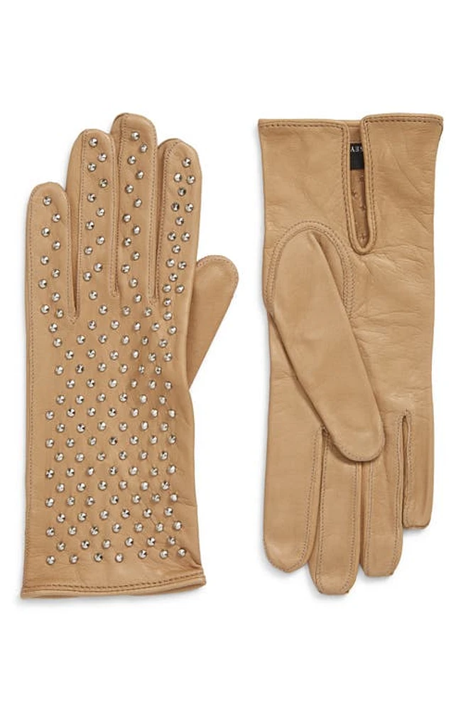 Seymoure Kelly Studded Leather Gloves in Nude at Nordstrom