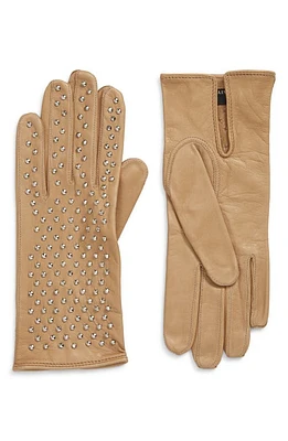 Seymoure Kelly Studded Leather Gloves in Nude at Nordstrom