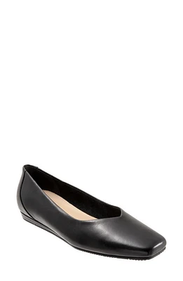 SoftWalk Vellore Flat - Multiple Widths Available Black at Nordstrom,