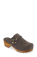 Sanita Lissy Clog at Nordstrom,