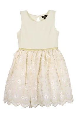 Zunie Kids' Metallic Floral Embroidered Party Dress Ivory/Gold at Nordstrom,