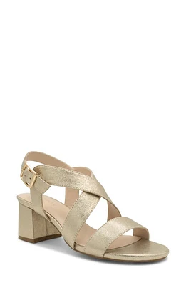 Paradox London Pink Ida Ankle Strap Sandal Champagne at Nordstrom,