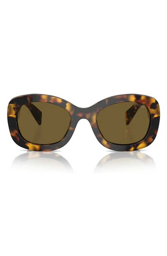 Prada 55mm Oval Sunglasses in Dark Brown at Nordstrom