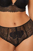 Etam Indomptee Lace Briefs Black at Nordstrom,