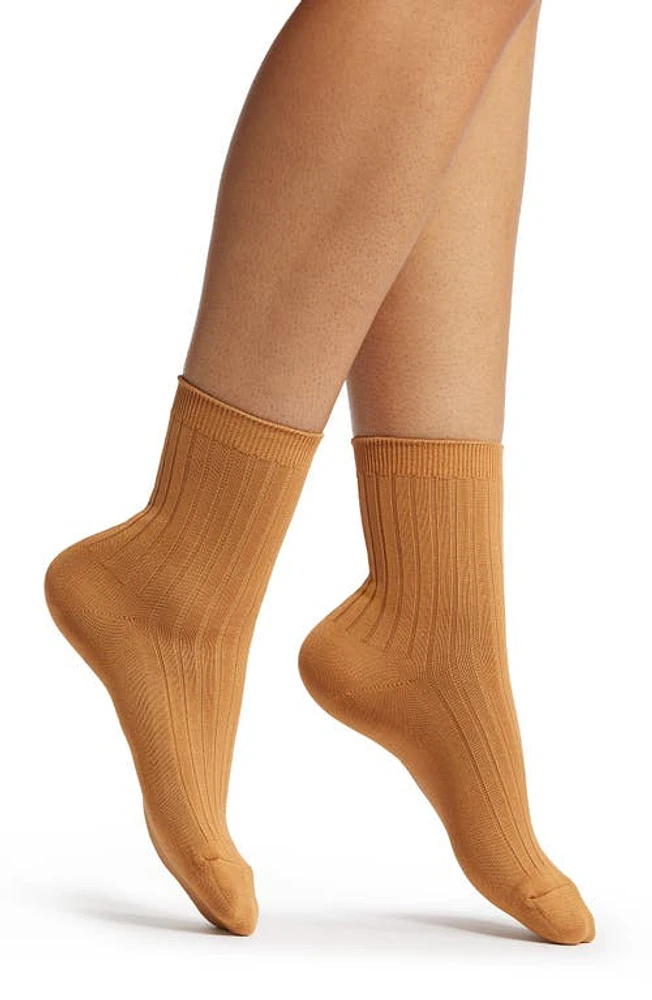 Le Bon Shoppe Her Cotton Blend Rib Crew Socks in Peanut Butter at Nordstrom