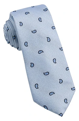 W. R.K Paisley Silk Tie in Light Blue at Nordstrom